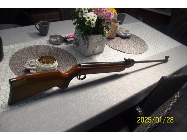 luchtbus diana  model 35